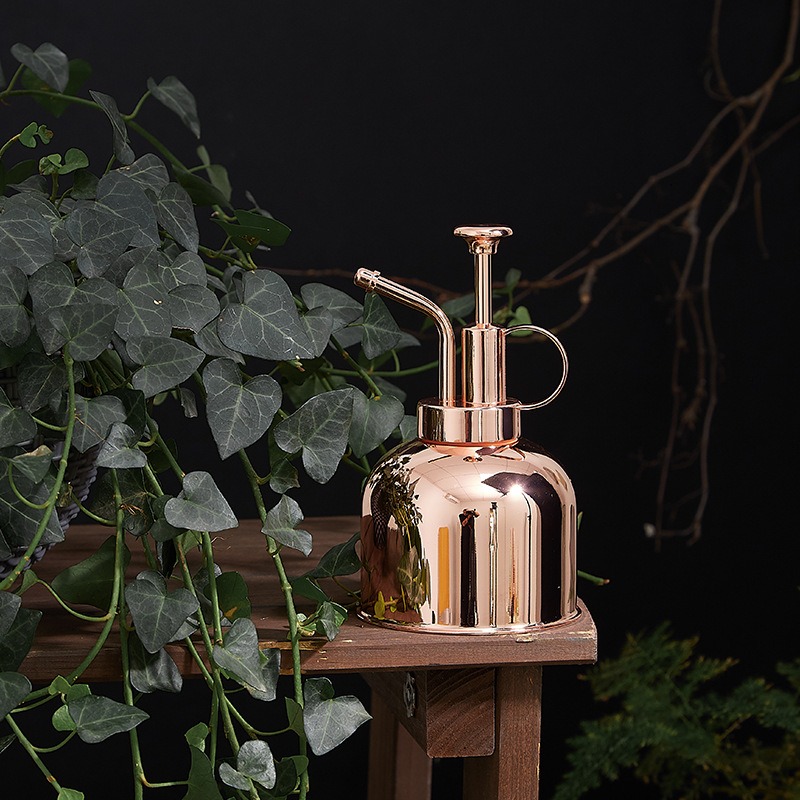 Eco-Friendly Plant Mister – Reusable Spray Bottle for Houseplants - Image 4